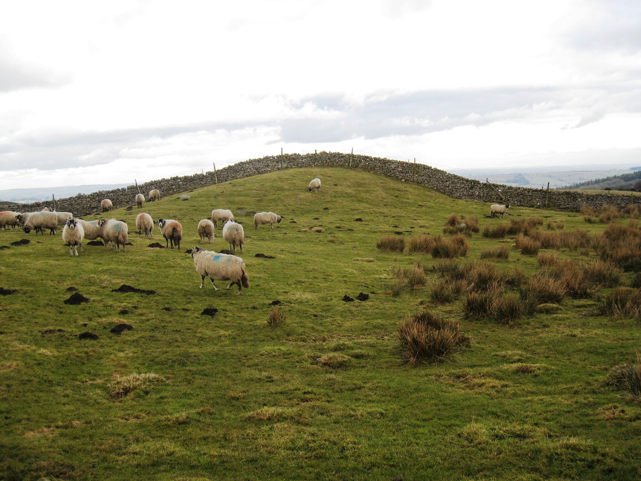 Ảnh "Aske" của Philip Barker (CC BY-SA) / Cắt từ ảnh gốc