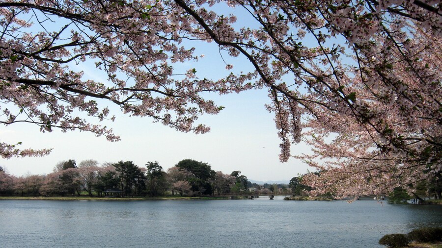 Photo "大池公園(矢吹町）" by Duff Figgy (Creative Commons Attribution-Share Alike 3.0) / Cropped from original