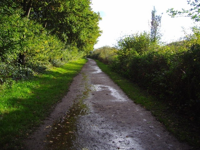 Cycleway This is the cycleway as it approaches the car park at Clayton-le-Woods. The fields and the River Lostock lie to the right, as viewed.