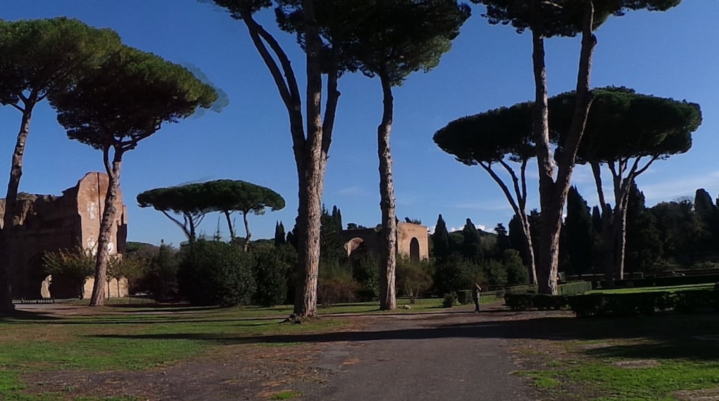 "Terme di Caracalla"-foto av Rabax63 (page does not exist) (CC BY-SA) / Urklipp från original