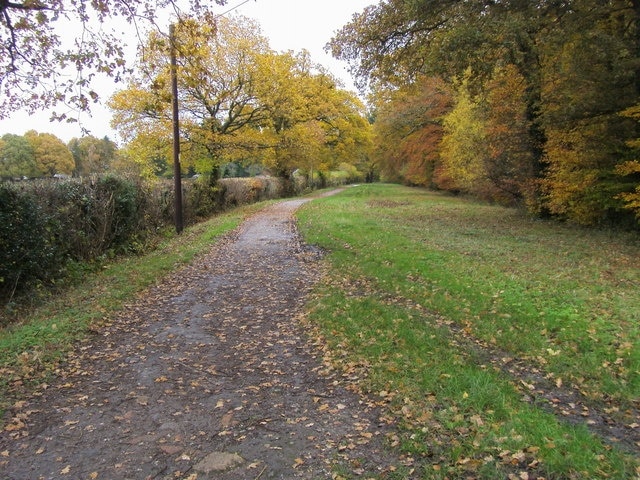 Fletchwood Road Fletchwood Road bridleway to Martins Croft Farm