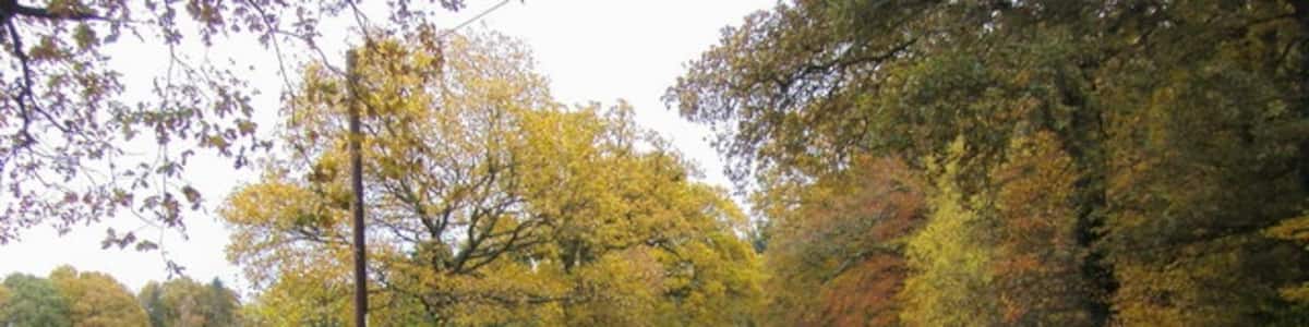 Photo "Fletchwood Road Fletchwood Road bridleway to Martins Croft Farm" by Shaun Ferguson (Creative Commons Attribution-Share Alike 2.0) / Cropped from original