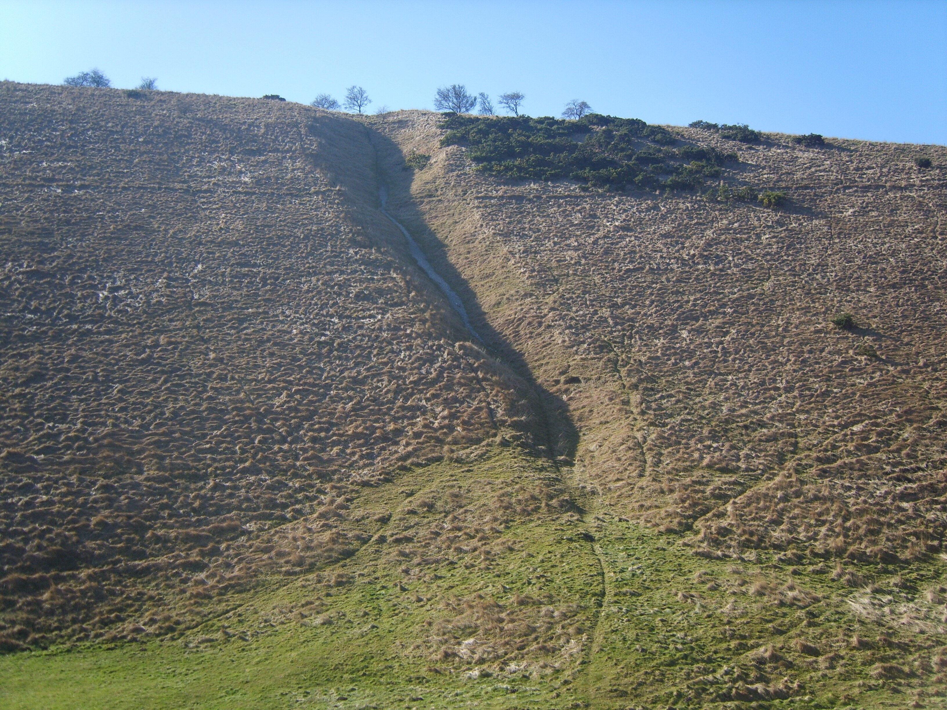 Foto “Warter” tomada por irlsey (CC BY-SA); recorte de la original