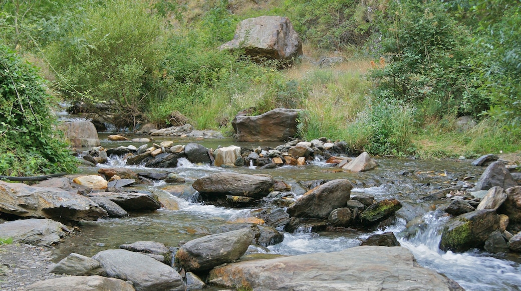 Sierra Nevada nasjonalpark
