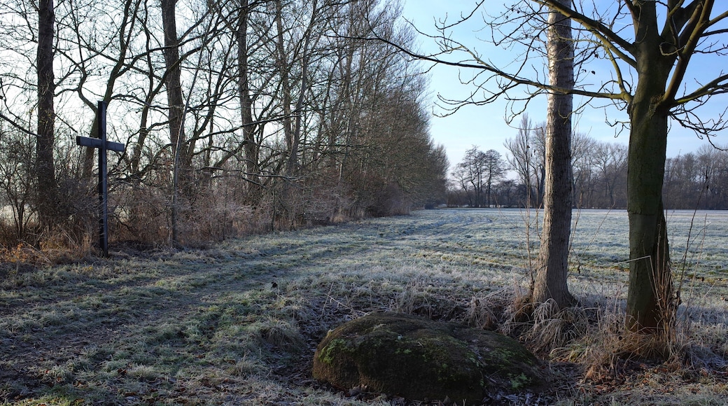 Foto ‘Zörbig’ van M_H.DE (CC BY-SA) / bijgesneden versie van origineel