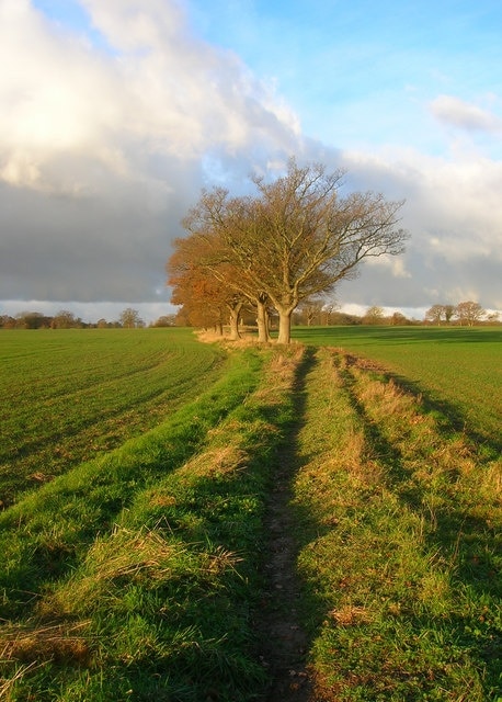 Kuva ”Länsi-Grinstead” käyttäjältä Simon Carey (CC BY-SA) / rajattu alkuperäisestä kuvasta