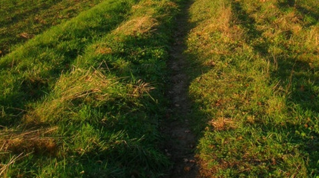 Kuva ”Länsi-Grinstead” käyttäjältä Simon Carey (CC BY-SA) / rajattu alkuperäisestä kuvasta