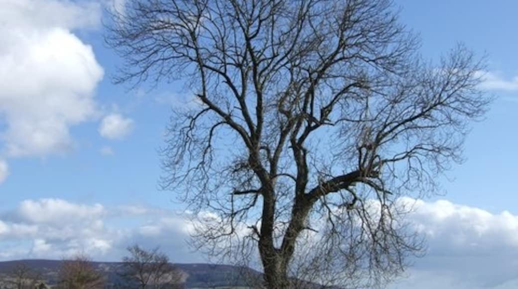 Photo "Torphins" by Stanley Howe (CC BY-SA) / Cropped from original