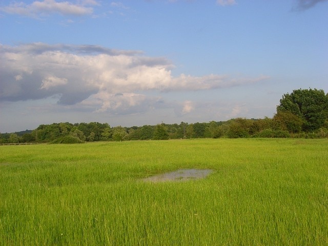 Pasture, Spencers Wood The flat landscape of the Loddon valley.