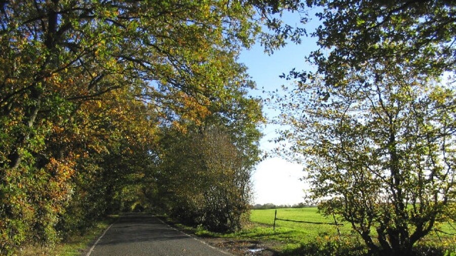 Photo "Blackmore Road near Blackmore, Essex. A view looking east with edge of Fryerning Wood on lefthand side" by John Winfield (Creative Commons Attribution-Share Alike 2.0) / Cropped from original