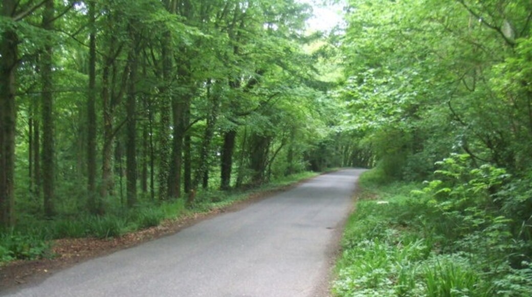 "Newton and Little Oakley"-foto av Ash Davies (CC BY-SA) / Urklipp från original