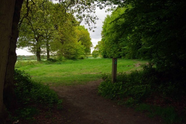 Foto “Woodham Ferrers y Bicknacre” tomada por Glyn Baker (CC BY-SA); recorte de la original