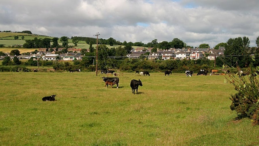 Photo "Farmland at Town Yetholm Grazing cattle by the Bowmont Water with Town Yetholm in the background." by Walter Baxter (Creative Commons Attribution-Share Alike 2.0) / Cropped from original