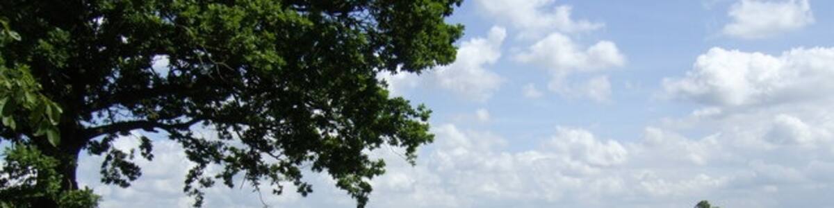 Photo "Airfield Farm The farm is named after Hardwick Airfield, one mile to the east. Intrerestingly an American flag was just visible on a pole over the buildings in the distance." by Jonathan Billinger (Creative Commons Attribution-Share Alike 2.0) / Cropped from original