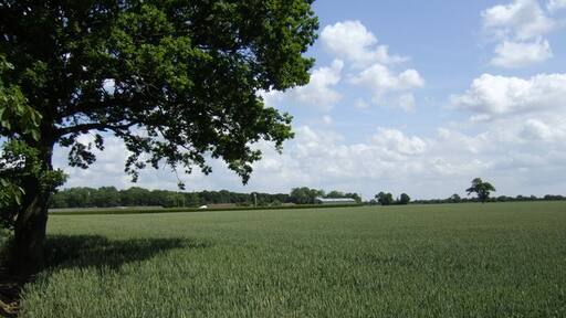 Foto „Topcroft“ von Jonathan Billinger (CC BY-SA)/zugeschnittenes Original