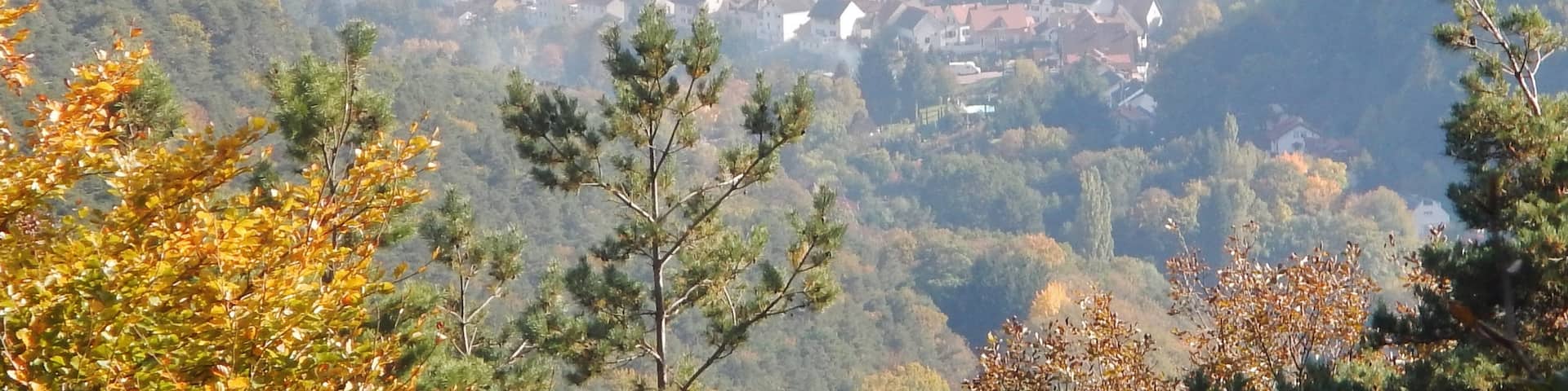 Ausblick von der Hüttenberghütte im Naturpark und Biosphärenreservat Pfälzerwald