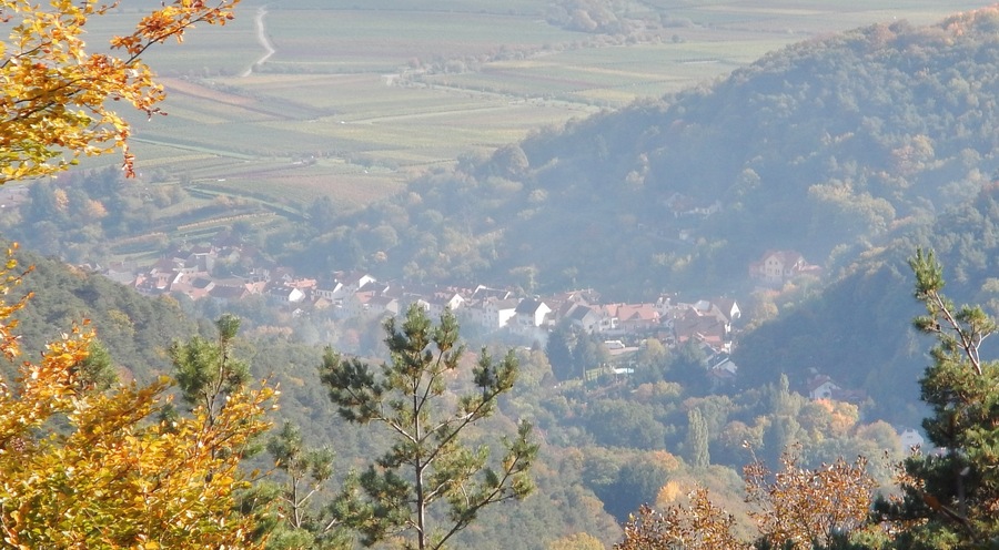 Ausblick von der Hüttenberghütte im Naturpark und Biosphärenreservat Pfälzerwald