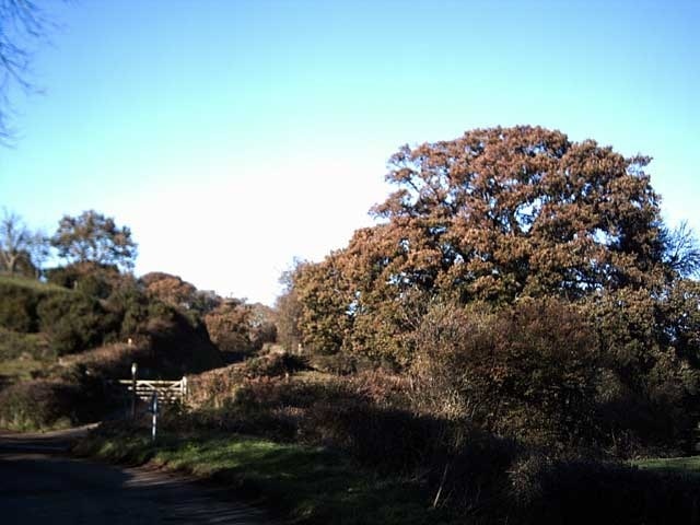 Tarka Trail near Bridge Farm. The Tarka Trail leaves the road to follow a muddy track near the river.