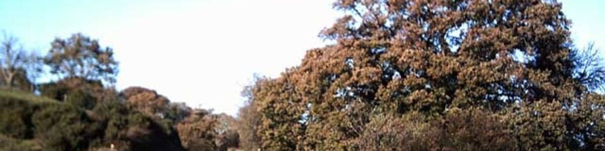 Photo "Tarka Trail near Bridge Farm. The Tarka Trail leaves the road to follow a muddy track near the river." by Grant Sherman (Creative Commons Attribution-Share Alike 2.0) / Cropped from original
