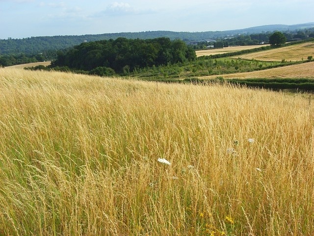 Photo "Little Marlow" by Andrew Smith (CC BY-SA) / Cropped from original