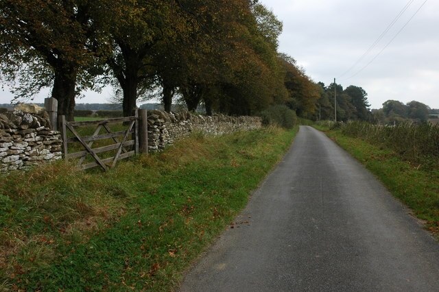 Kuva ”Syde” käyttäjältä Philip Halling (CC BY-SA) / rajattu alkuperäisestä kuvasta