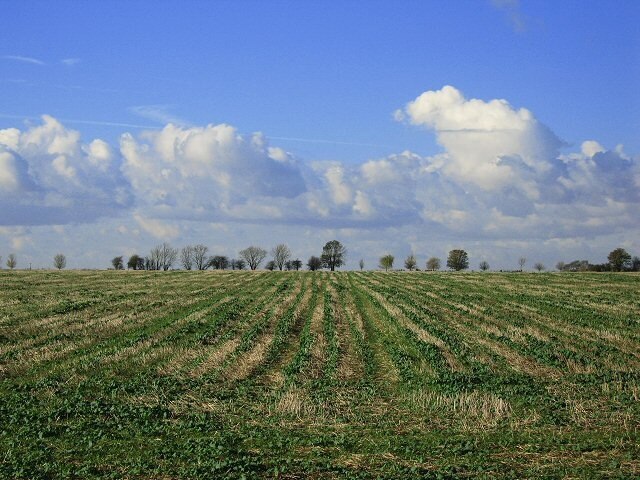 Foto “Pidley cum Fenton” tomada por Alison Rawson (CC BY-SA); recorte de la original