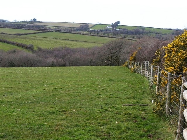 Dipple Brook valley From East Putford Footpath 1, a view along a field boundary bright with gorse, that steepens into the valley, where it meets a band of woodland. Land on the far side is in SS3418. The farm is South Stroxworthy, in SS3419.