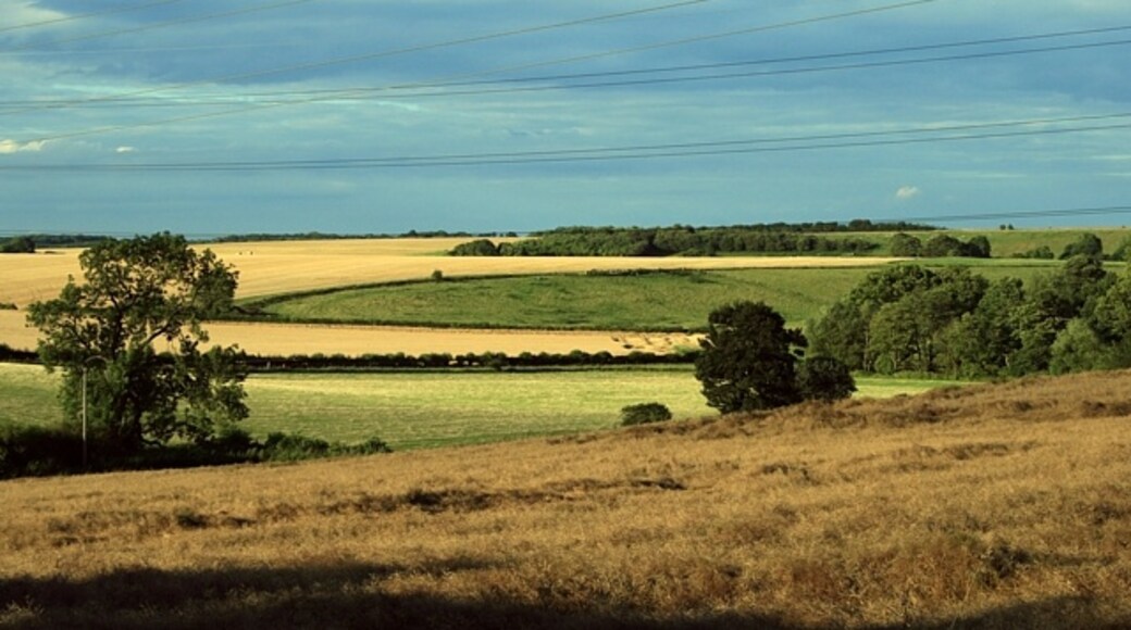 Foto „Lead“ von David Pickersgill (CC BY-SA)/zugeschnittenes Original