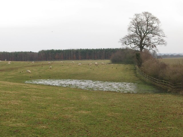 "Copgrove"-foto av David Rogers (CC BY-SA) / Urklipp från original