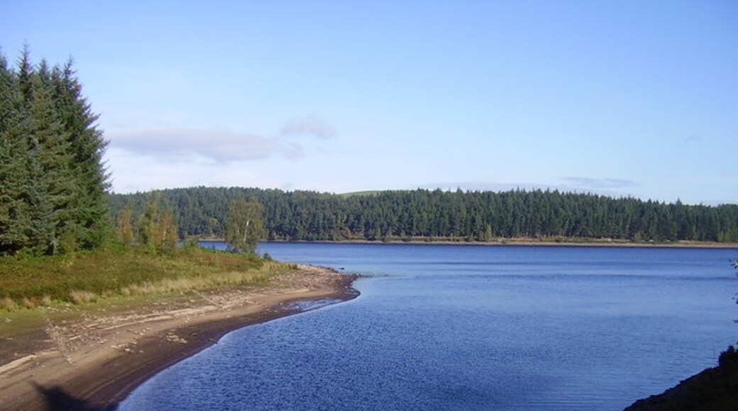 Photo "Langsett" by steven ruffles (CC BY-SA) / Cropped from original