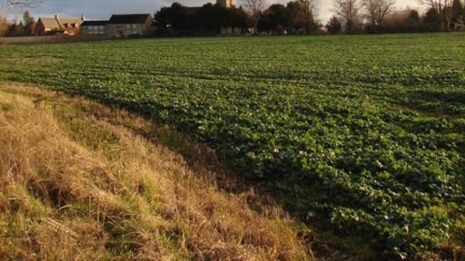 Foto "Braceborough e Wilsthorpe" de Ian Paterson (CC BY-SA) / Recortada do original