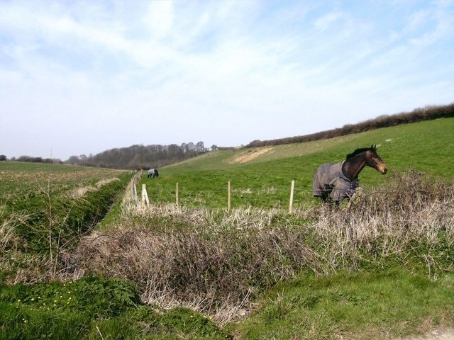 Foto "West Ravendale" por John Beal (CC BY-SA) / Recortada de la original