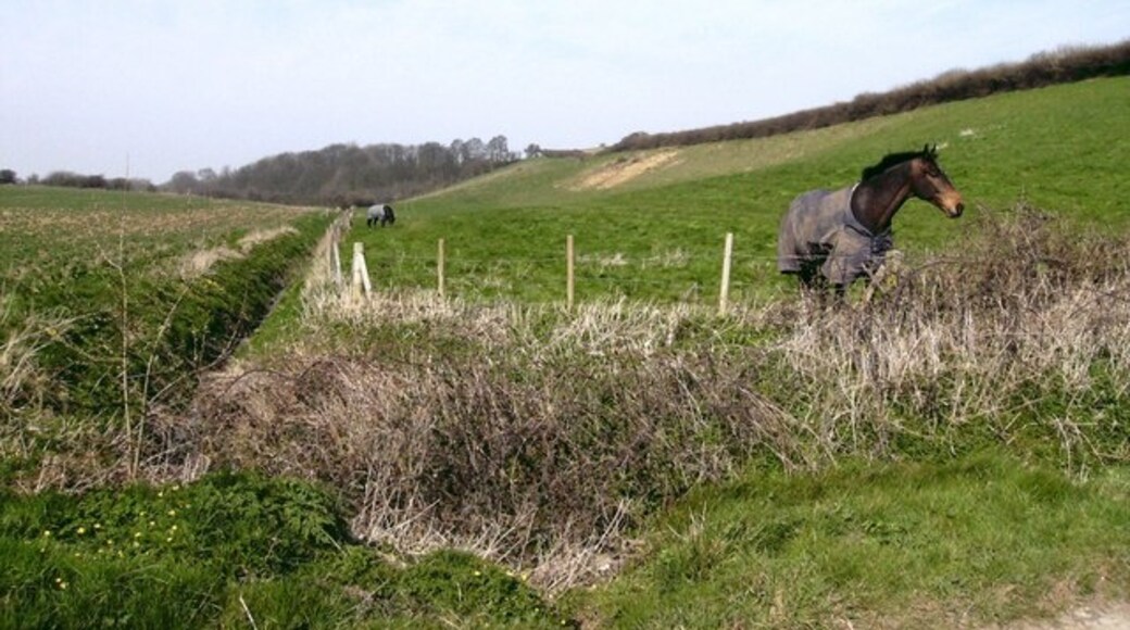 Foto "West Ravendale" por John Beal (CC BY-SA) / Recortada de la original