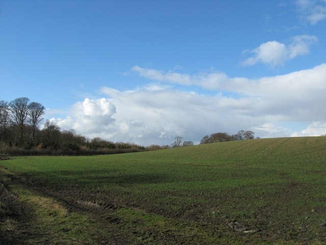 The beginnings of the Summer crops Freshly planted field near Limekilns in Fife.