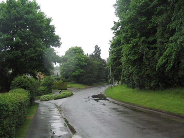 Kuva ”Bigby” käyttäjältä Tim Heaton (CC BY-SA) / rajattu alkuperäisestä kuvasta