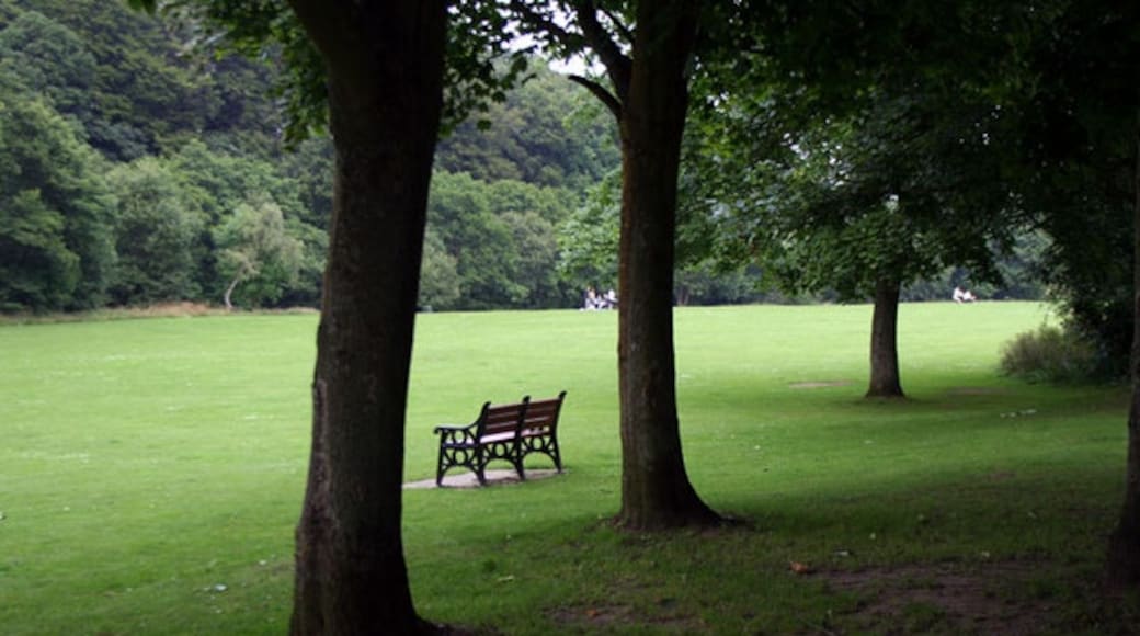 "Allensford Country Park"-foto av Helen Wilkinson (CC BY-SA) / Urklipp från original