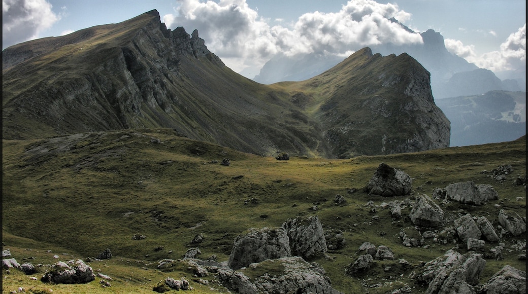 Photo "Mount Cernera" by Petr Kraumann (CC BY) / Cropped from original