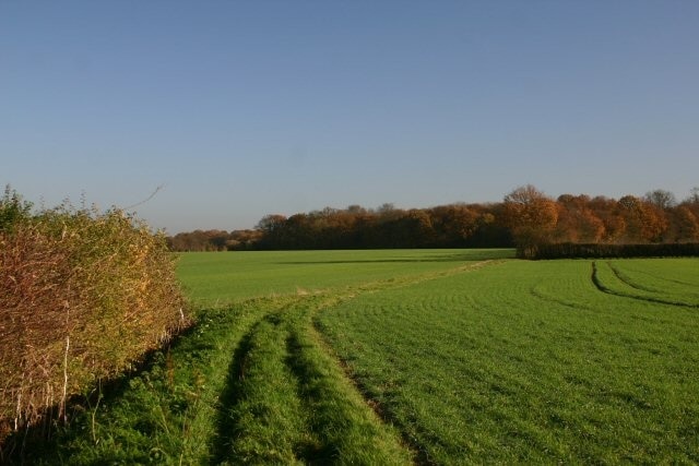 Billede "Thorpe Morieux" af Bob Jones (CC BY-SA) / beskåret fra det originale billede