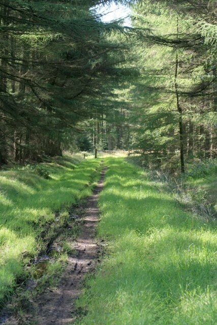 Foto „Stape“ von Mick Garratt (CC BY-SA)/zugeschnittenes Original