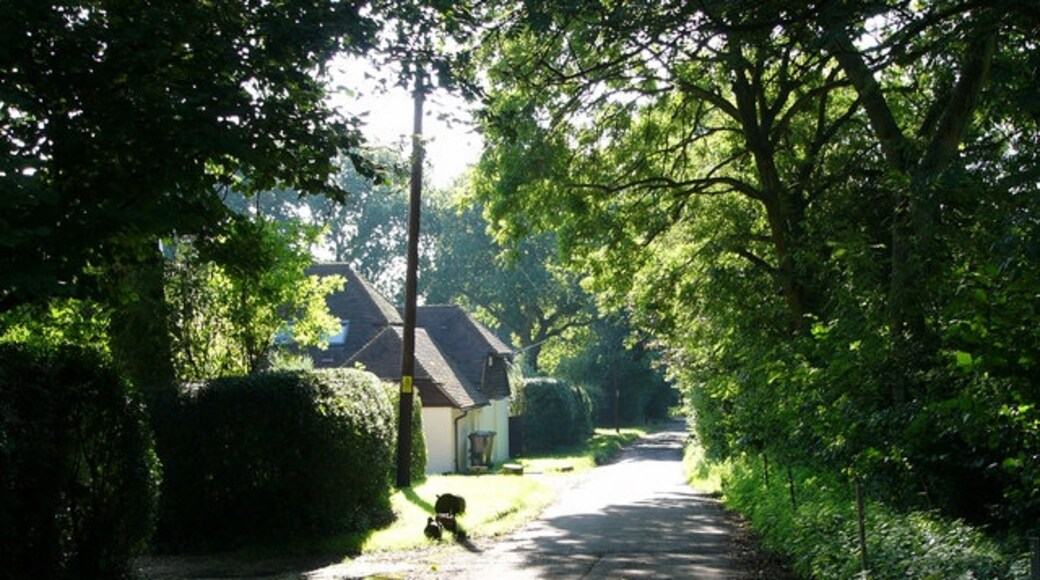 Photo "Froxfield and Privett" by Chris Gunns (CC BY-SA) / Cropped from original