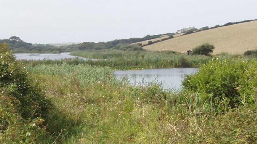 Photo "Pools by Trenearne Bridge, near St Merryn. The road from Padstow to St Merryn goes steeply down to the stream which reaches the sea at Harlyn Bay. These pools are just below the bridge." by David Hawgood (Creative Commons Attribution-Share Alike 2.0) / Cropped from original