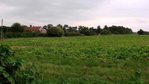 Kuva ”Griston” käyttäjältä Lisa Wild (CC BY-SA) / rajattu alkuperäisestä kuvasta