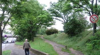 début du chemin VTT