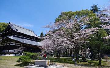 前往岩出市 岩出市和歌山之旅精选21 Expedia 旅行 前往岩出市 岩出市和歌山之旅精选21 Expedia 旅行