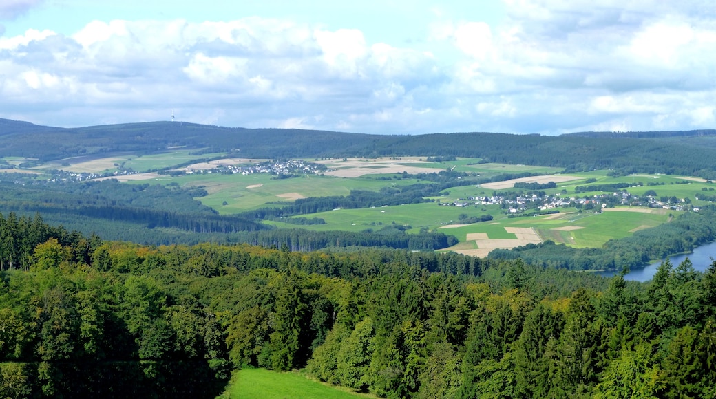 Foto "Parco Nazionale dell’Hunsrück-Hochwald" di giggel (CC BY) / Ritaglio dell’originale