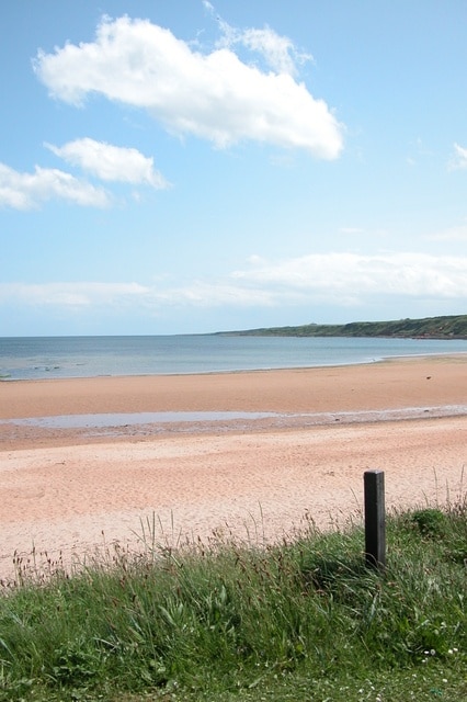 East Sands With The Tide Out
