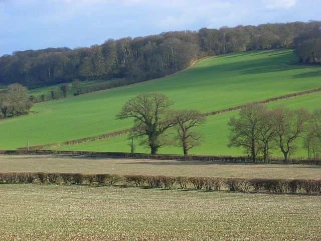 Billede "Great and Little Hampden" af Andrew Smith (CC BY-SA) / beskåret fra det originale billede