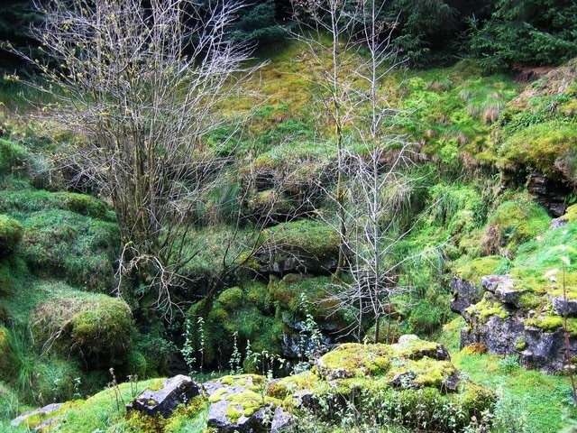 Foto “Hope” tomada por Graham Scarborough (CC BY-SA); recorte de la original