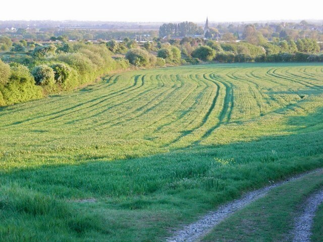 Billede "Honeybourne" af David Luther Thomas (CC BY-SA) / beskåret fra det originale billede