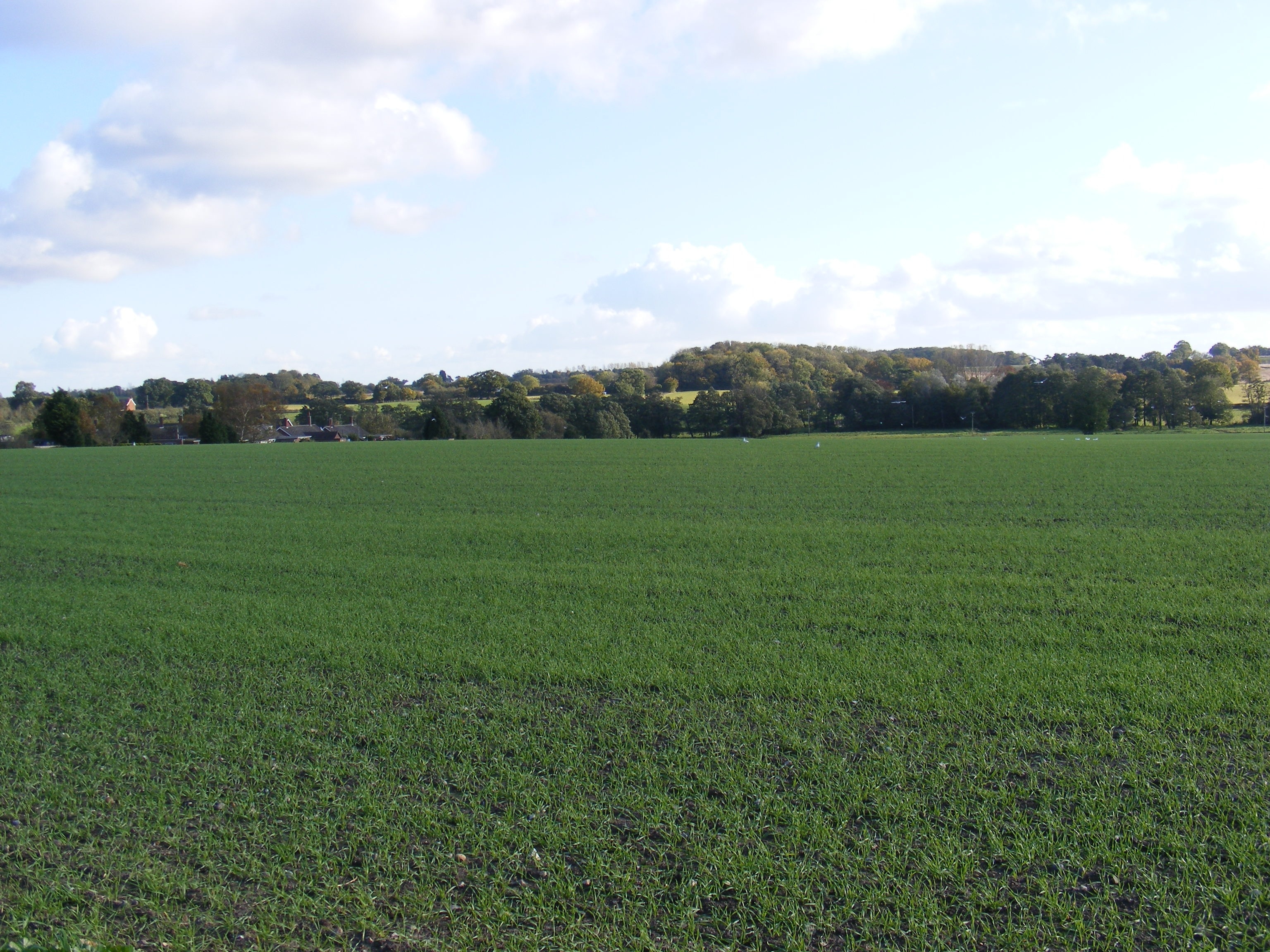 Halesworth, GB Vacation Rentals house rentals & more Vrbo